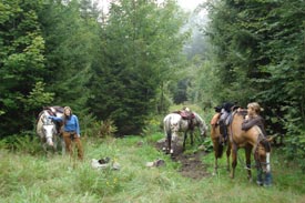 Highlander Ranch - Reiturlaub, Westernreiten, Freizeitreiten, Ausritte im Bayerischen Wald