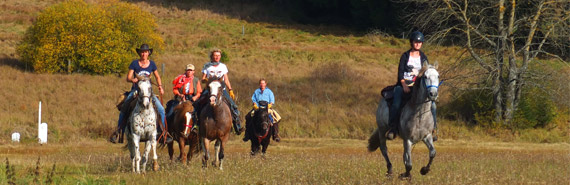 Highlander Ranch - Reiturlaub, Westernreiten, Freizeitreiten, Ausritte im Bayerischen Wald