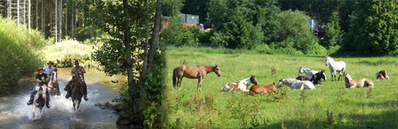 Highlander Ranch - Reiturlaub, Westernreiten, Freizeitreiten, Ausritte im Bayerischen Wald