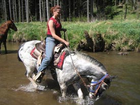 Highlander Ranch - Reiturlaub, Westernreiten, Freizeitreiten, Ausritte im Bayerischen Wald